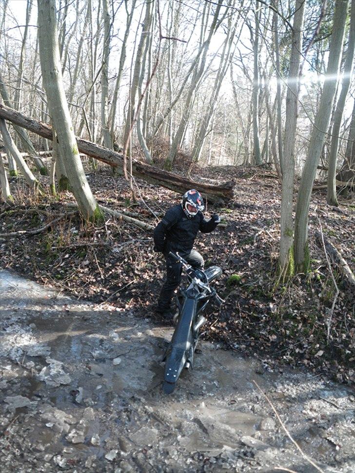 Gas Gas EC 300 - HEY.. kom nu op for fanden billede 5