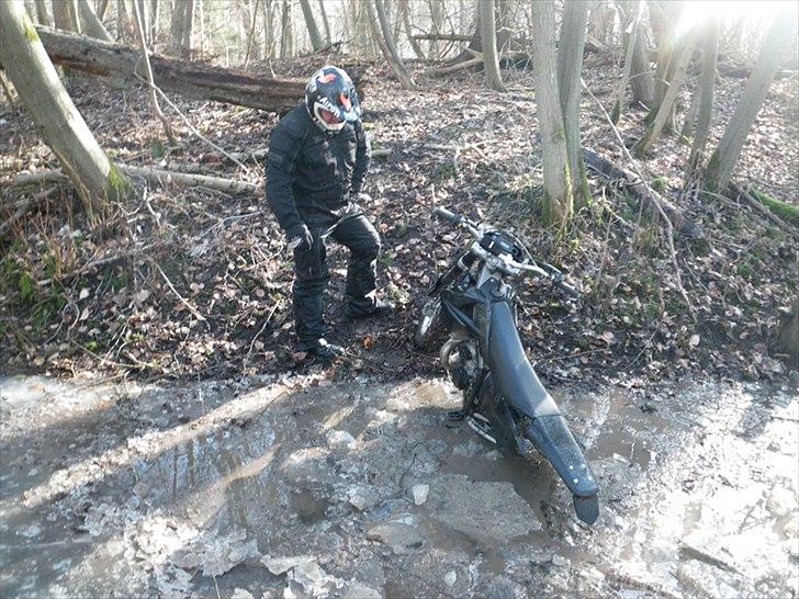 Gas Gas EC 300 - Hmm, måske man skulle have kørt en anden vej til bageren.. billede 4