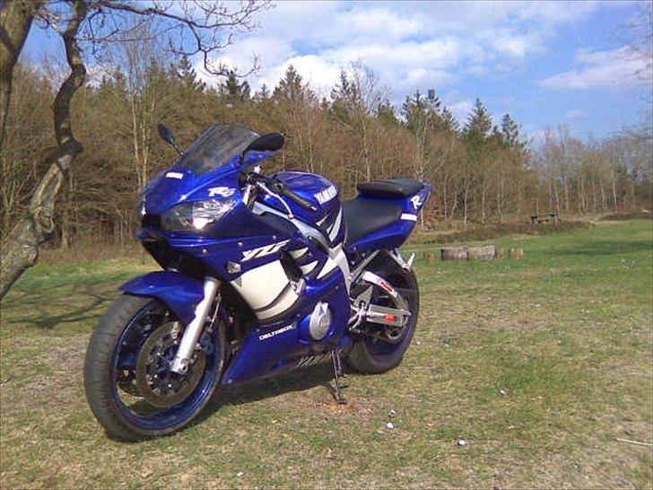 Yamaha yzf R6  billede 1