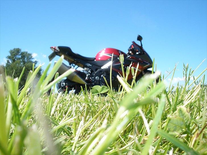 Suzuki GSXR 1000  (SOLGT) billede 18