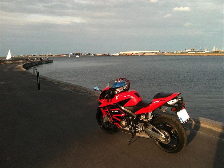 Honda CBR 600 RR billede 2