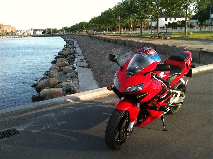 Honda CBR 600 RR billede 3