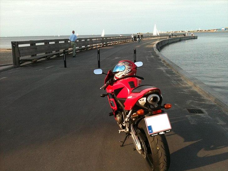 Honda CBR 600 RR billede 6