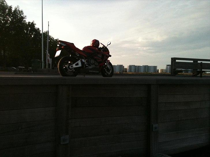 Honda CBR 600 RR billede 7