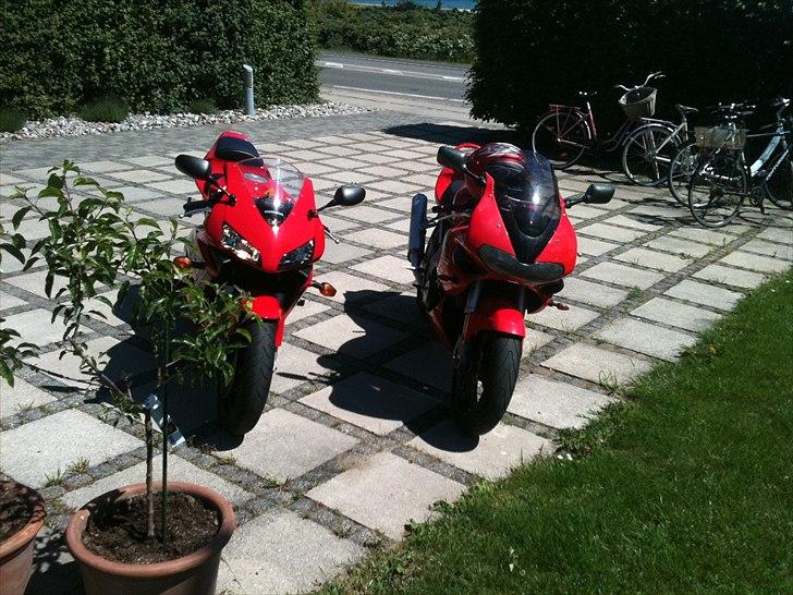 Honda CBR 600 RR billede 9