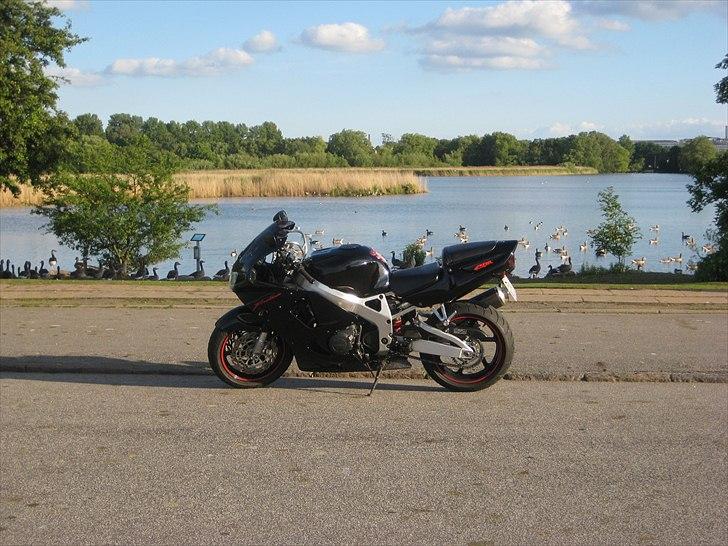 Honda CBR 900 rr - Et lille profil billede i pinse solen billede 1