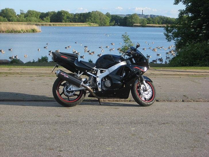 Honda CBR 900 rr billede 6