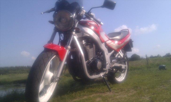 Suzuki GS500E billede 15