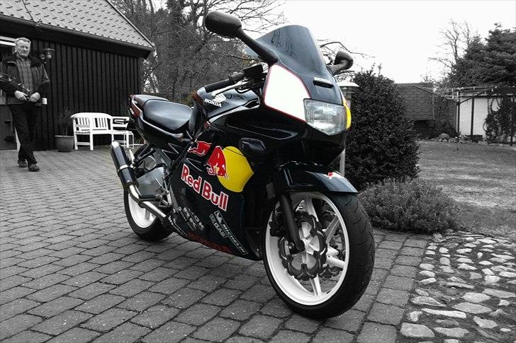 Honda CBR 600 F2 RedBull billede 2