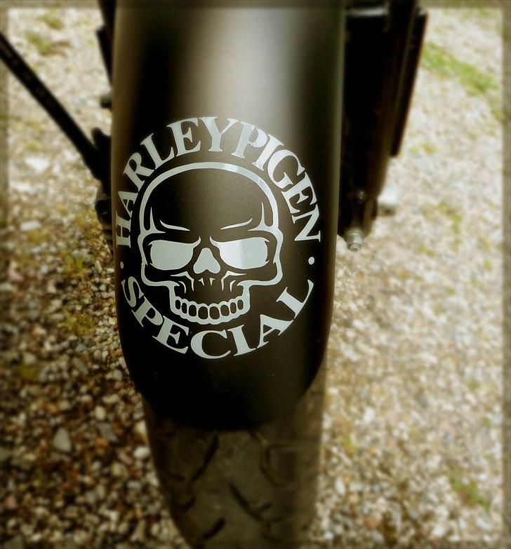Harley Davidson 883 Iron - Special lavet fra USA billede 8