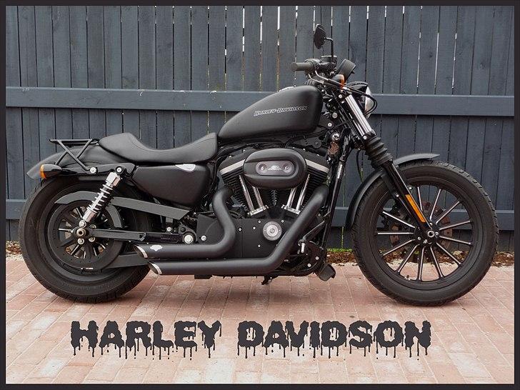 Harley Davidson 883 Iron - I sommerhuset godt gemt bag rockerhegnet ;-) billede 1