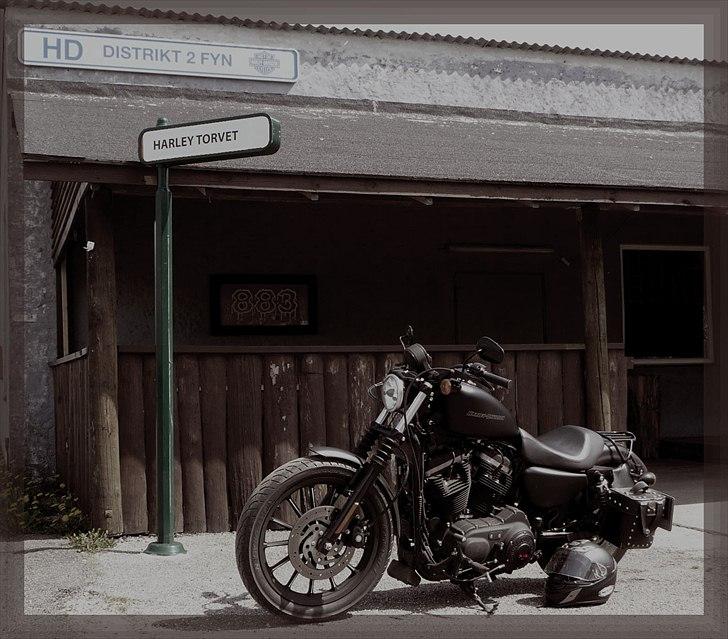 Harley Davidson 883 Iron - På vej til en ny sæson billede 9
