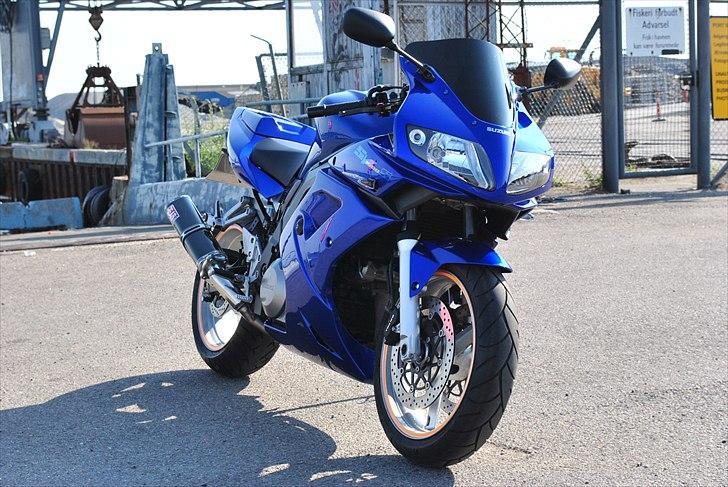 Suzuki sv 1000 s tilsalg billede 6