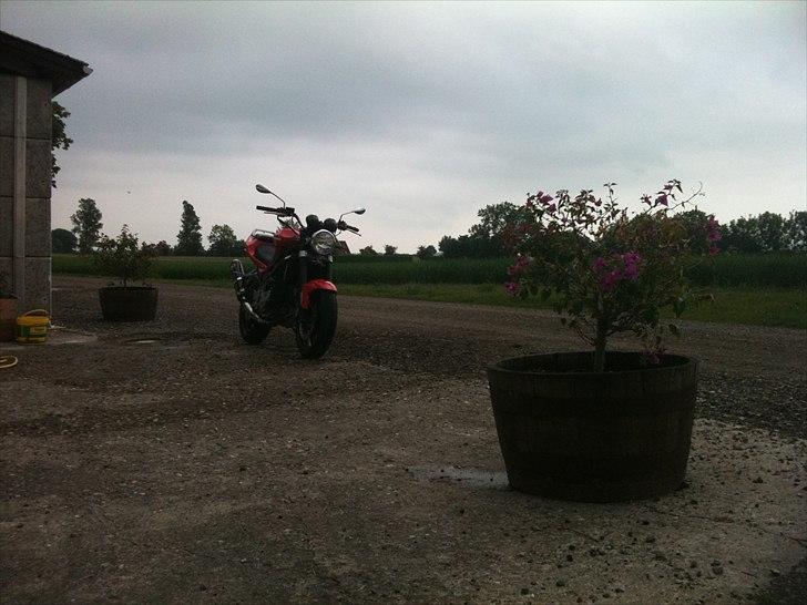 Hyosung GT 650 billede 3