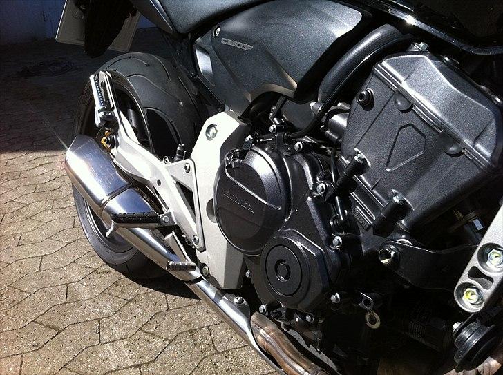 Honda CB600 Hornet - Denne vinkel kan jeg godt lide, for her kan man ikke se fronten og tanken. billede 5