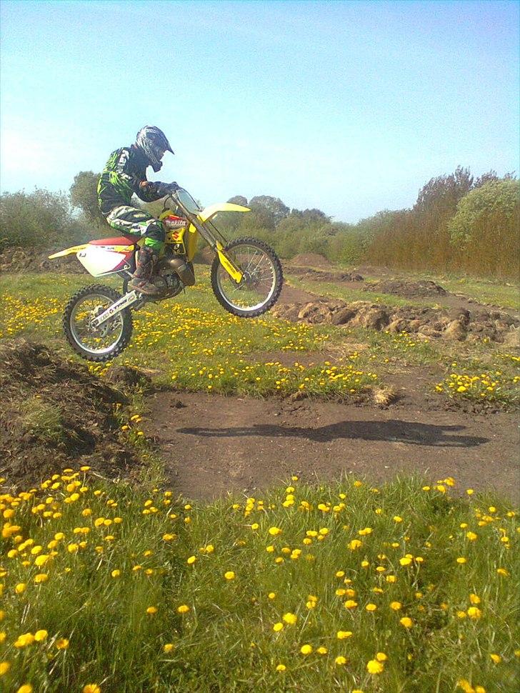 Suzuki rm 250 billede 5