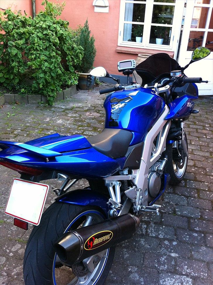 Suzuki SV 650s  Død 07-2011 billede 2