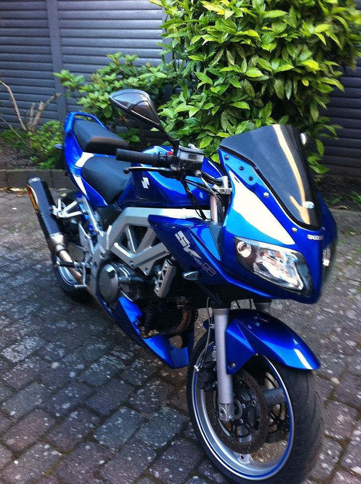 Suzuki SV 650s  Død 07-2011 - 10/6-2011, lige da den var kommet hjem.. billede 1