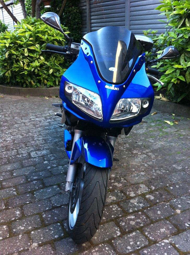 Suzuki SV 650s  Død 07-2011 billede 3