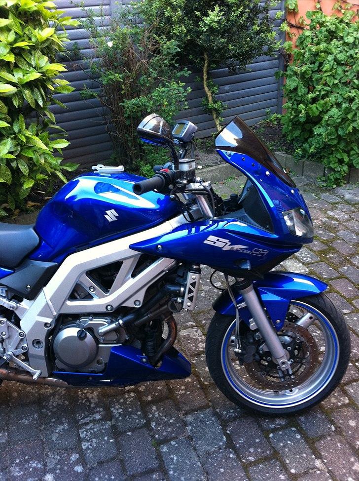 Suzuki SV 650s  Død 07-2011 billede 4