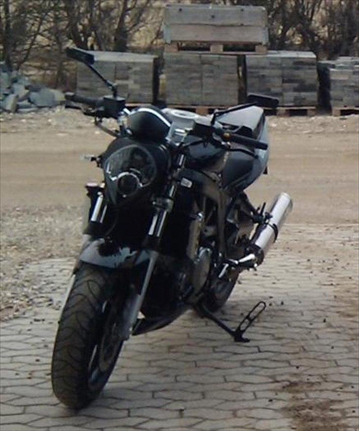 Suzuki SV 1000 N billede 8