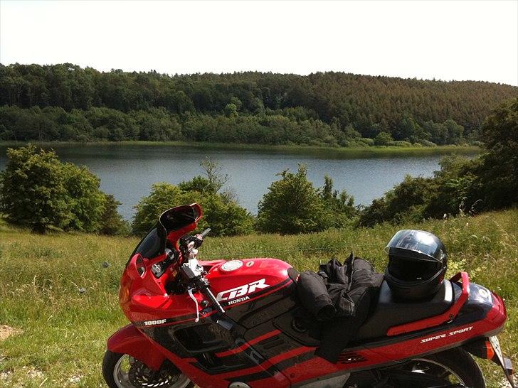 Honda CBR 1000F SC24 - Margueritruten er en klassiker, især dens mange sideveje; i langsom tempo :-) billede 5