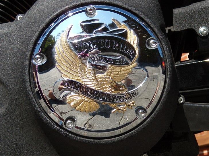 Harley Davidson FXDB Dyna Street Bob billede 9