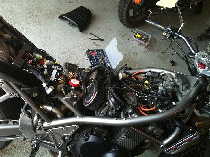 Suzuki bandit billede 8