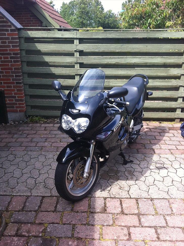 Suzuki gsxF  billede 2