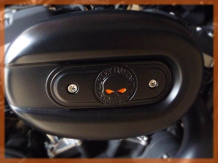 Harley Davidson 883 Iron - så de blev Harley farven billede 12