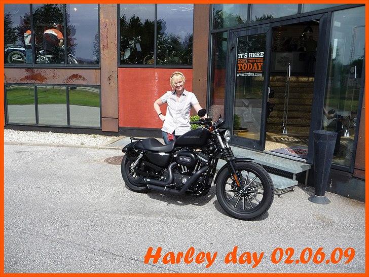 Harley Davidson 883 Iron - Dagen, hvor jeg hentede min spritnye HD hos Caps i Århus. billede 2