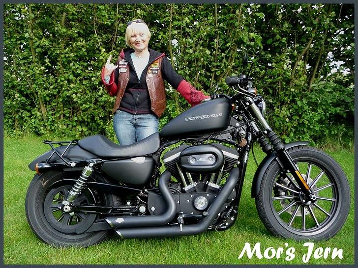 Harley Davidson 883 Iron billede 13