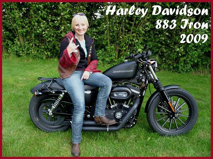 Harley Davidson 883 Iron billede 14