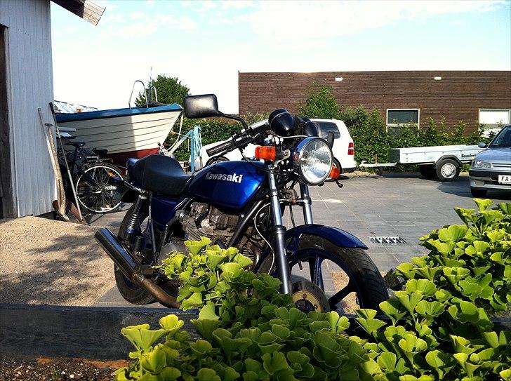 Kawasaki Z 650 billede 6