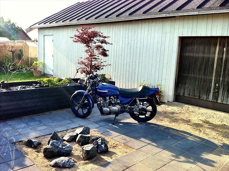 Kawasaki Z 650 billede 10