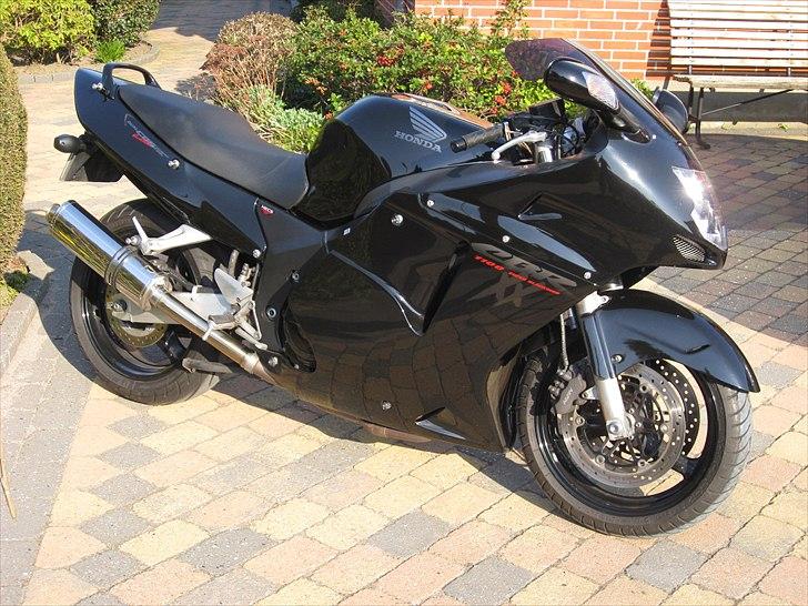 Honda CBR 1100XX Blackbird billede 1
