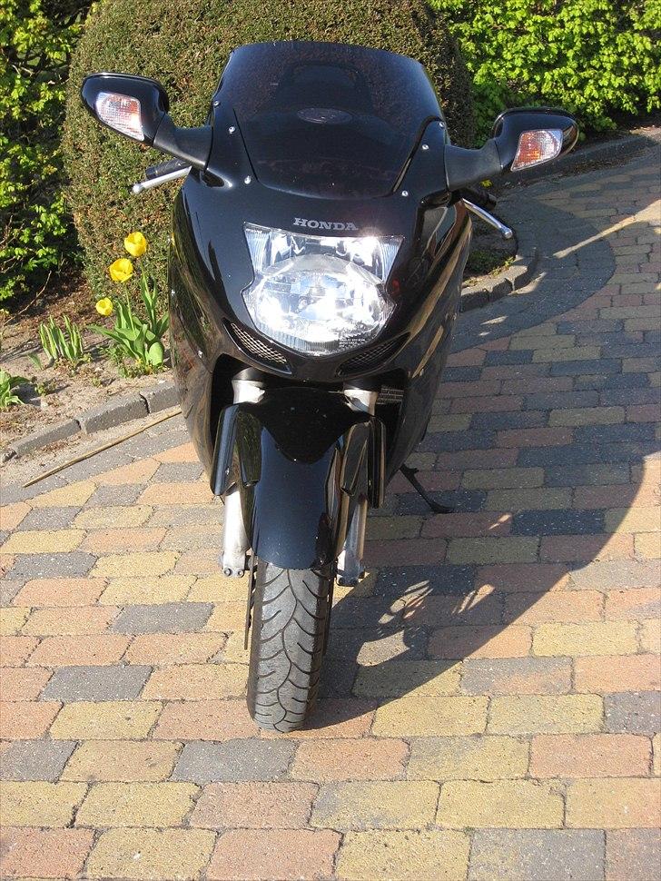 Honda CBR 1100XX Blackbird billede 3