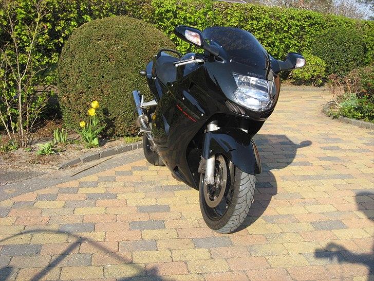 Honda CBR 1100XX Blackbird billede 4