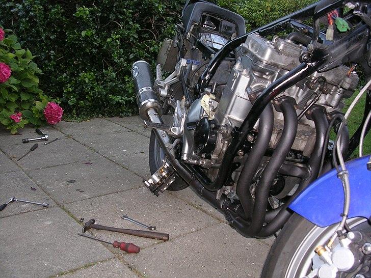 Kawasaki GPX 600R - Billede af den nye motor monteret i stellet billede 11