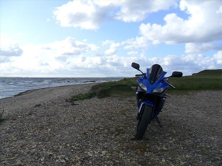 Yamaha YZF R125 solgt billede 6