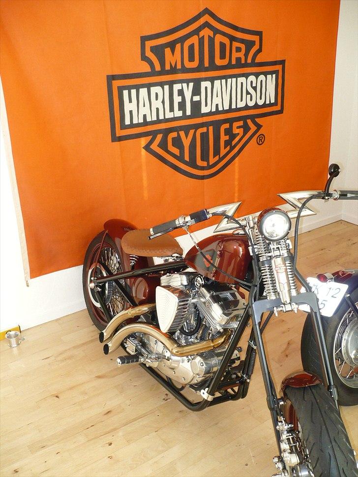 Harley Davidson Sportster Bobber - De har deres eget værelse ;-) billede 18