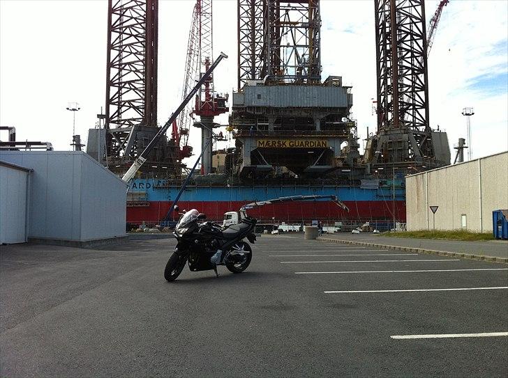 Suzuki gsf 1250 bandit - hirtshals havn
 billede 1