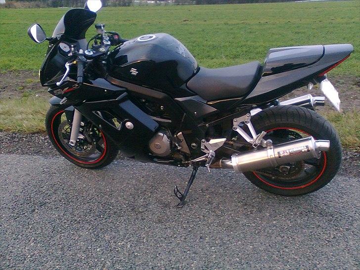 Suzuki SV 1000 S billede 8