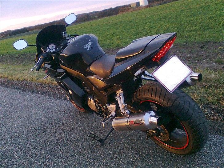 Suzuki SV 1000 S billede 10