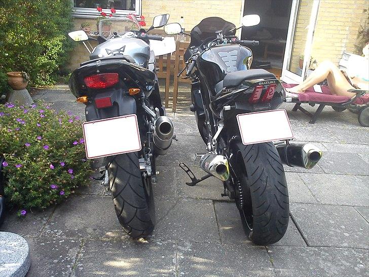 Suzuki SV1000S - Stemningsbillede fra "før" tur billede 18