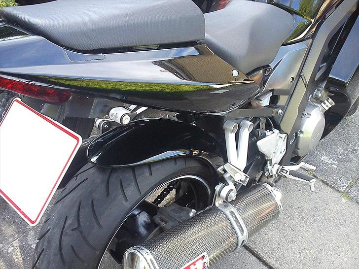 Suzuki SV1000S - Nye rizoma blink billede 20