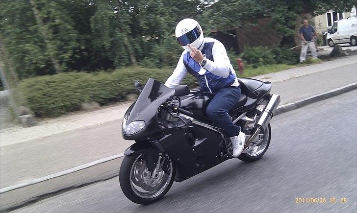 Suzuki Tl 1000R SILKE MATSORT billede 9