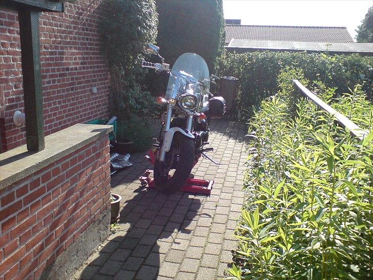 Suzuki Intruder M 800 billede 7