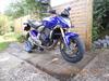 Honda CB600 Hornet PC41 ABS