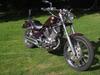 Yamaha virago 535 [Tidl. motorcykel]
